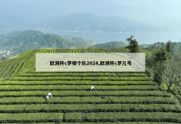 欧洲杯c罗哪个队2024,欧洲杯c罗几号