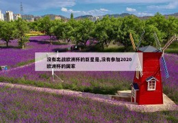 没有出战欧洲杯的巨星是,没有参加2020欧洲杯的国家