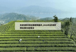 年欧洲杯预选赛规则图片,2020年欧洲杯预选赛分组情况