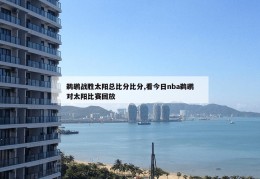 鹈鹕战胜太阳总比分比分,看今日nba鹈鹕对太阳比赛回放