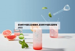 欧洲杯中国队出场顺序,欧洲杯中国队是那场2021