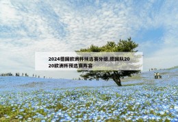 2024德国欧洲杯预选赛分组,德国队2020欧洲杯预选赛阵容