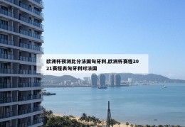 欧洲杯预测比分法国匈牙利,欧洲杯赛程2021赛程表匈牙利对法国