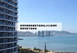 欧洲杯都哪些国家不能参加,2021欧洲杯哪些球星不能参加