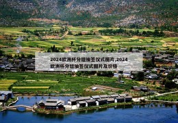 2024欧洲杯分组抽签仪式图片,2024欧洲杯分组抽签仪式图片及价格