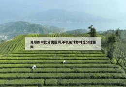 足球即时比分捷报网,手机足球即时比分捷报网