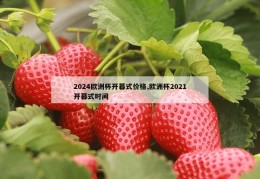 2024欧洲杯开幕式价格,欧洲杯2021开幕式时间