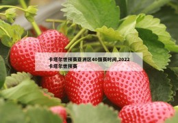 卡塔尔世预赛亚洲区40强赛时间,2022卡塔尔世预赛