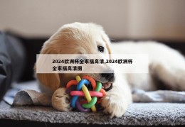 2024欧洲杯全家福高清,2024欧洲杯全家福高清图