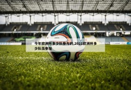 今年欧洲杯多少队参与的,2021欧洲杯多少队伍参加