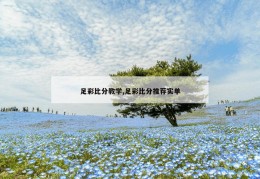 足彩比分教学,足彩比分推荐实单