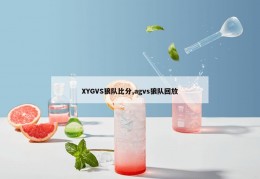 XYGVS狼队比分,agvs狼队回放