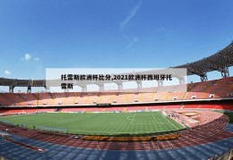 托雷斯欧洲杯比分,2021欧洲杯西班牙托雷斯