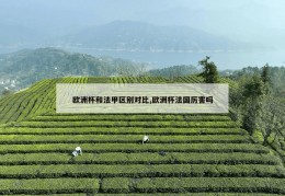 欧洲杯和法甲区别对比,欧洲杯法国厉害吗