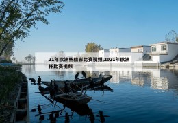 21年欧洲杯精彩比赛视频,2021年欧洲杯比赛视频