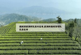 西班牙欧洲杯队员大名单,欧洲杯西班牙球队队员名单