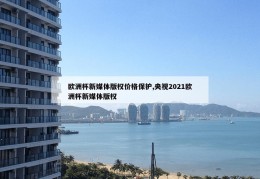 欧洲杯新媒体版权价格保护,央视2021欧洲杯新媒体版权