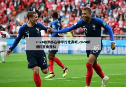 2024欧洲杯在哪举行比赛呢,2024欧洲杯百度百科