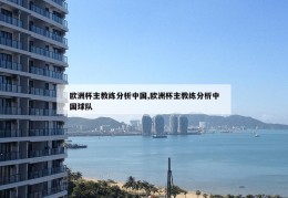 欧洲杯主教练分析中国,欧洲杯主教练分析中国球队