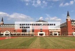 欧洲杯竞彩中奖彩票图片,2021欧洲杯竞彩奖金规则