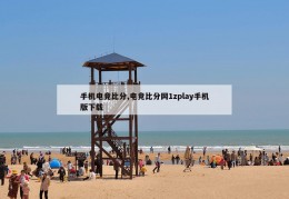 手机电竞比分,电竞比分网1zplay手机版下载