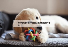 2024欧洲杯比利时排名,欧洲杯比利时晋级