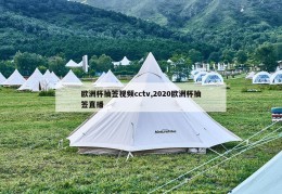 欧洲杯抽签视频cctv,2020欧洲杯抽签直播